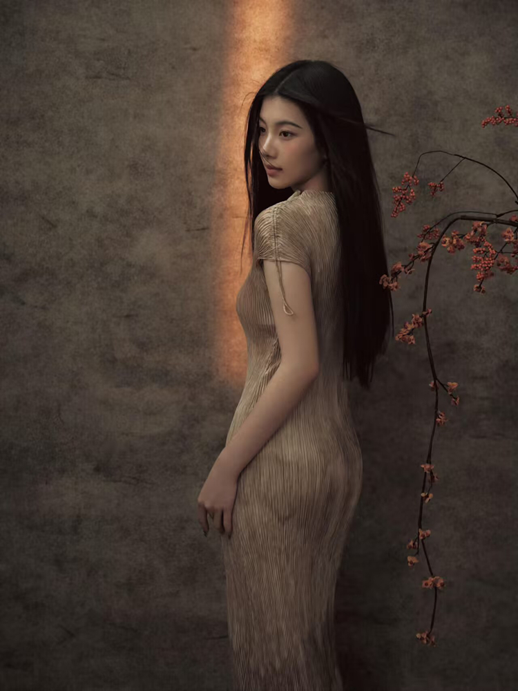 Yeni 2026 Çin Tarzı Portre San - Vintage Fashion In Chinese incelemesi ve fiyatı